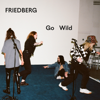 Go Wild - Friedberg