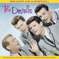 Why Do Fools Fall in Love ? - The Dovells