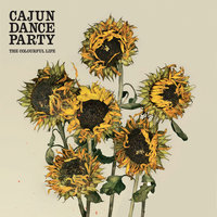 The Race - Cajun Dance Party