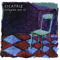 Vicio en el Servicio - Cicatriz