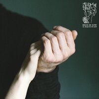 Triste Sire - Birds In Row