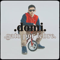 Gato Por Lebre - Domi