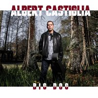 Where Did I Go Wrong - Albert Castiglia