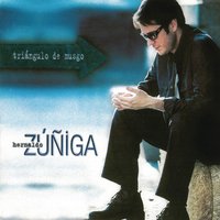 Se Van - Hernaldo Zuniga