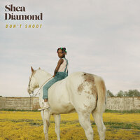 Don't Shoot - Shea Diamond