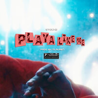 Playa Like Me - Stockz