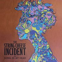 Struggling Angel - The String Cheese Incident