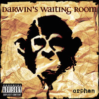 Live For The Moment - Darwin's Waiting Room