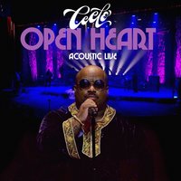 Crazy / Trouble so Hard - CeeLo Green