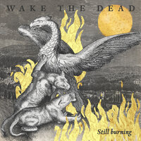 Back for More - Wake The Dead