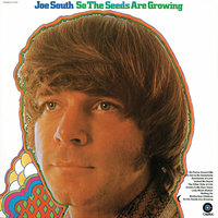 United We Stand - Joe South