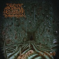 Presence Inexplicable - Spawn of Possession