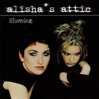 Wish I Were You - Alisha's Attic