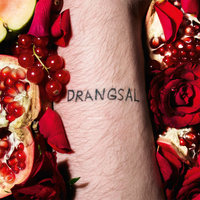Love Me Or Leave Me Alone - Drangsal