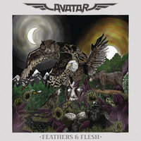 I've Got Something in My Front Pocket for You - Avatar