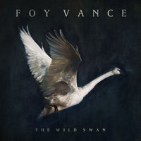 The Wild Swans On The Lake - Foy Vance