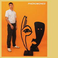 Pheromones - Havelock