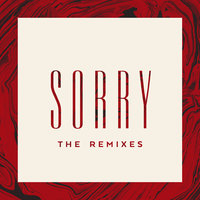Sorry - Seinabo Sey, Junge Junge