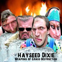 I Don't Feel Like Dancing - Hayseed Dixie
