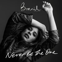 Never Be The One - Bonnie Anderson