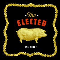 Greetings in Braille - The Elected