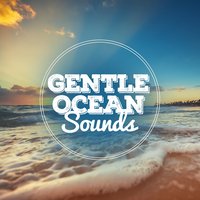 Ocean Sounds Collection