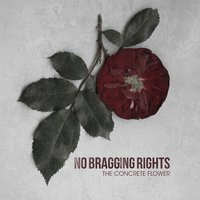 Downhearted - No Bragging Rights