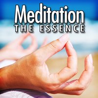 Free from Gravity for Health and Wellness of a Mediation Oasis - Meditation