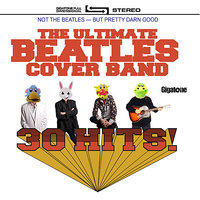 Rocky Raccoon - The Ultimate Beatles Cover Band