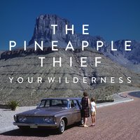 The Final Thing on My Mind - The Pineapple Thief