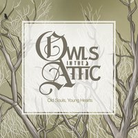 Don't Look Down - Owls in the Attic
