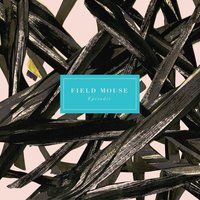 Never Would Have Known - Field Mouse