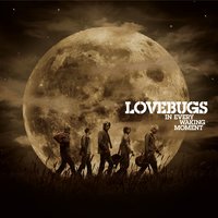 Wide Awake - Lovebugs
