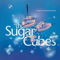 Birthday - The Sugarcubes