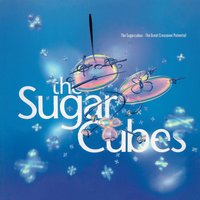 The Sugarcubes