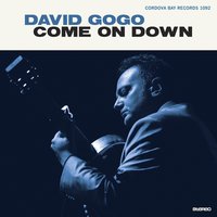 Spare Me a Little of Your Love - David Gogo