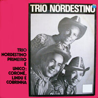 Corre Corre - Trio Nordestino