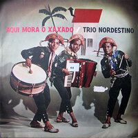 No Terreiro da Fazenda - Trio Nordestino