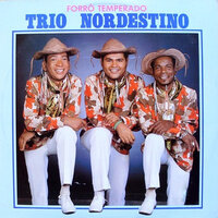 Forró Temperado - Trio Nordestino