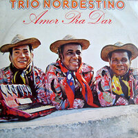 O Homem Apaixonado - Trio Nordestino