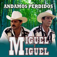 Pedazos de Mí - Miguel Y Miguel