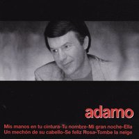 Permíteme Señor - Salvatore  Adamo