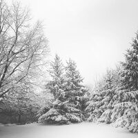 Baby's First Christmas - All I want for Christmas is you, Christmas Tree, Native American Flute, Native American Flute, All I Want for Christmas Is You