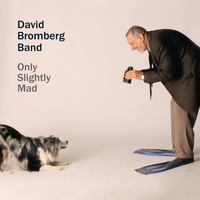 Nobody's Fault But Mine - David Bromberg, The David Bromberg Band