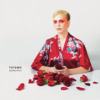 SeeSaw - Totemo