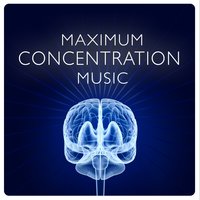 Concentration Music Ensemble