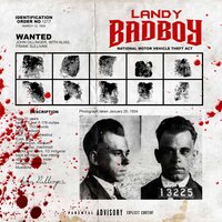 Bad Boy - Landy