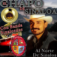 Te solté la rienda - El Chapo De Sinaloa