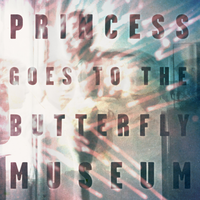 Ketamine - Princess Goes To The Butterfly Museum