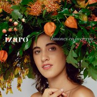 Hainbeste - IZARO